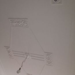 IMG_1031.jpg