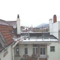 DSC02450.JPG